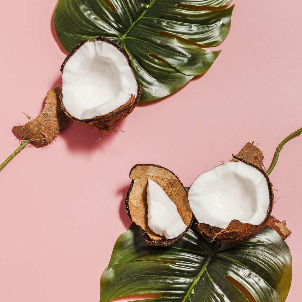 top view coconuts with monstera plant